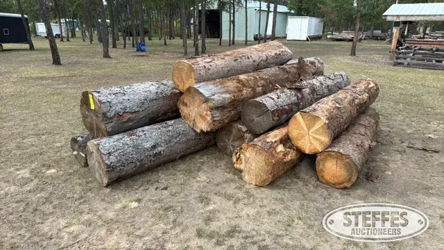 (10) White spruce saw logs