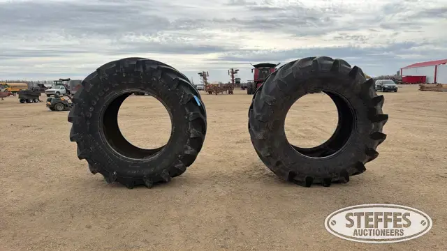 (2) Trelleborg TM900 900/60R42 tires