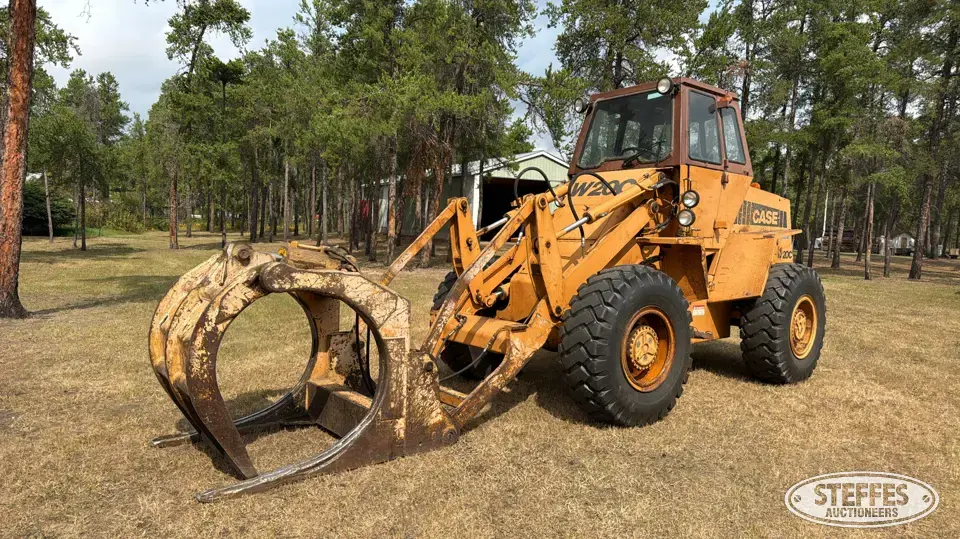 Case W20C Wheel Loader