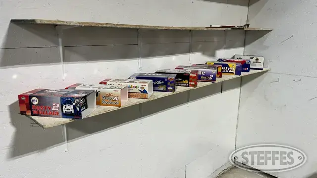 (10) Diecast collectible race cars