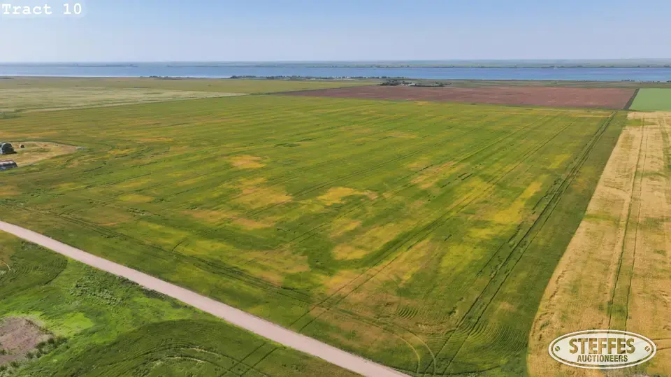 TRACT 10: Farmland