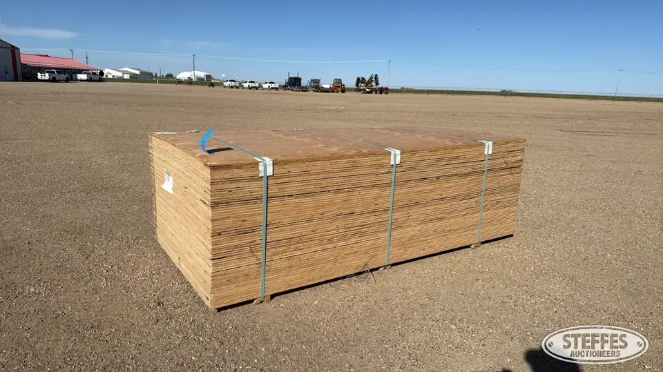 (60) CPS plywood Construction Support Item