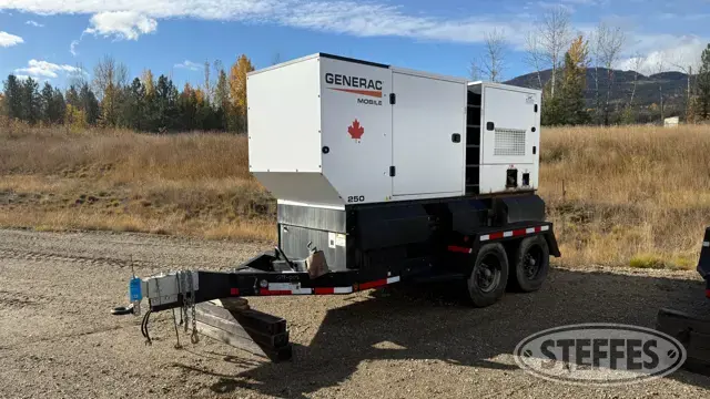 2021 Generac MDG250DF4