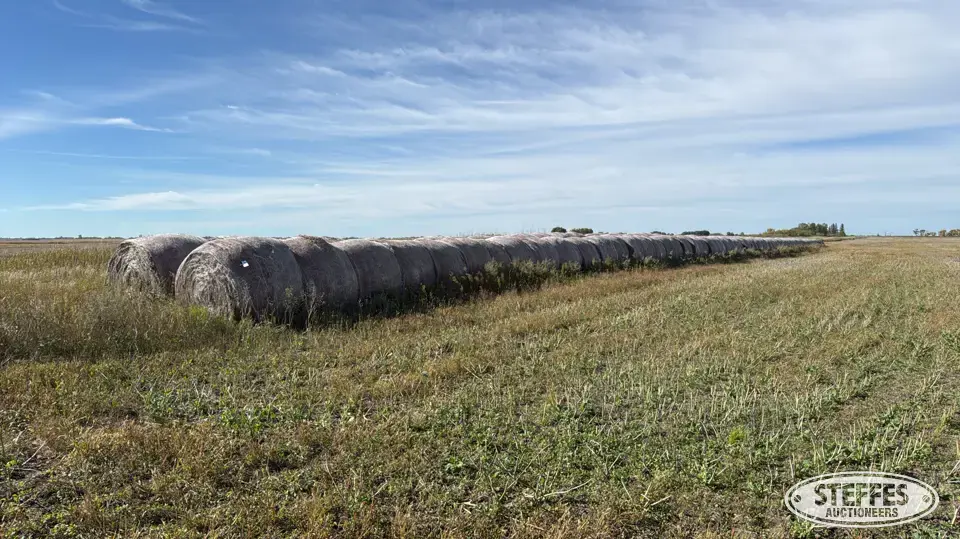 Approx. (138) organic flax straw bales Forage