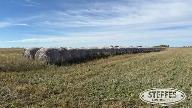 Approx. (138) organic flax straw bales