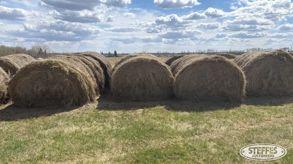 (30 Bales) 5x6 round Forage