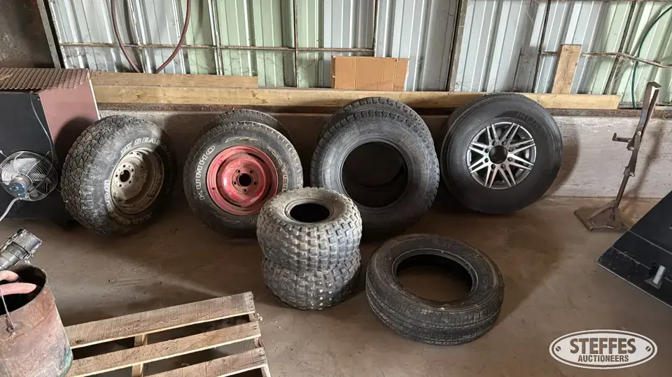 (9) Tires Passenger-Light Truck Tire