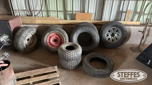 (9) Tires