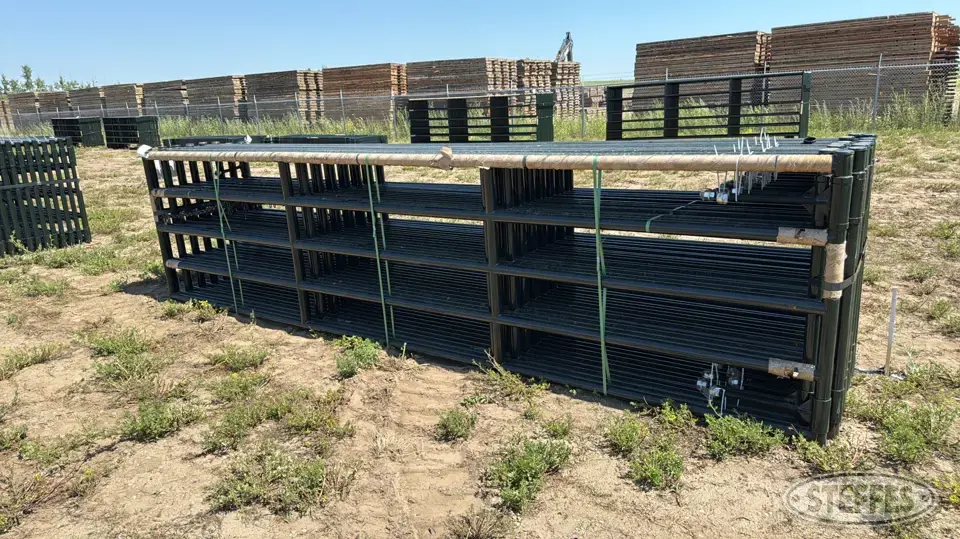 (16) BYT HD Magnum gates Livestock Handling