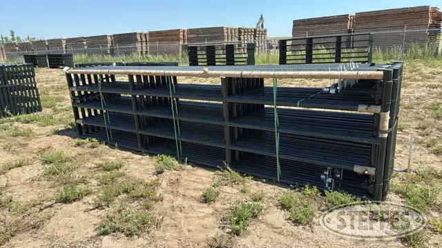 (16) BYT HD Magnum gates