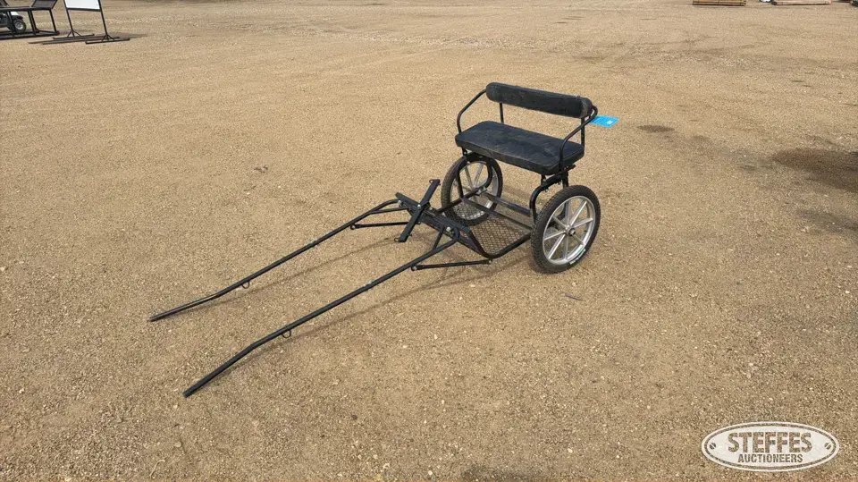 Single horse buggy Horse Drawn