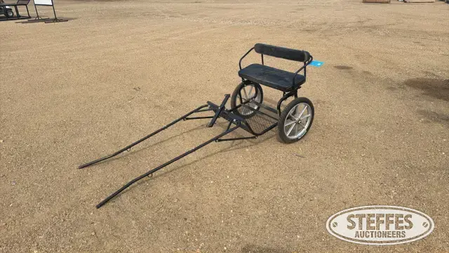 Single horse buggy