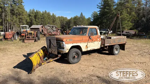 1973 Ford