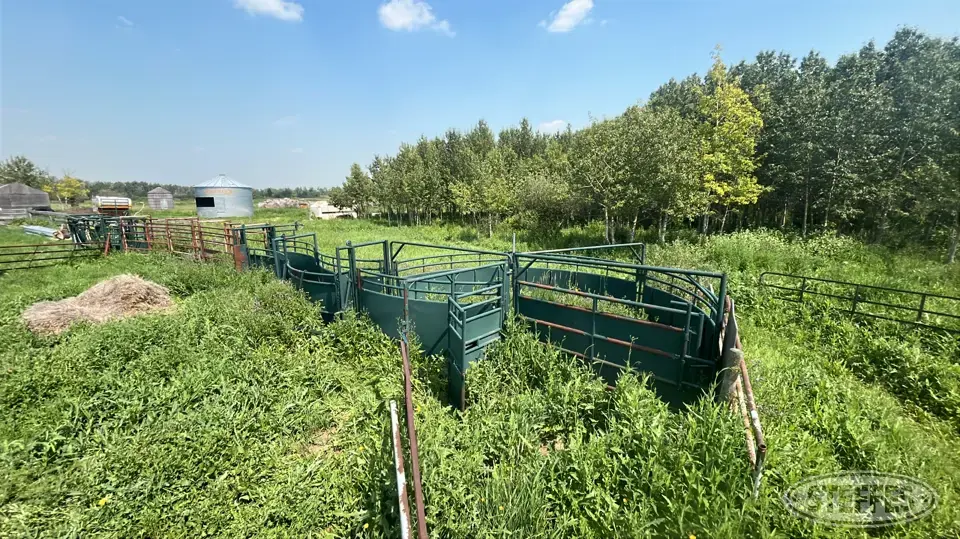 Hi-Hog Livestock Handling