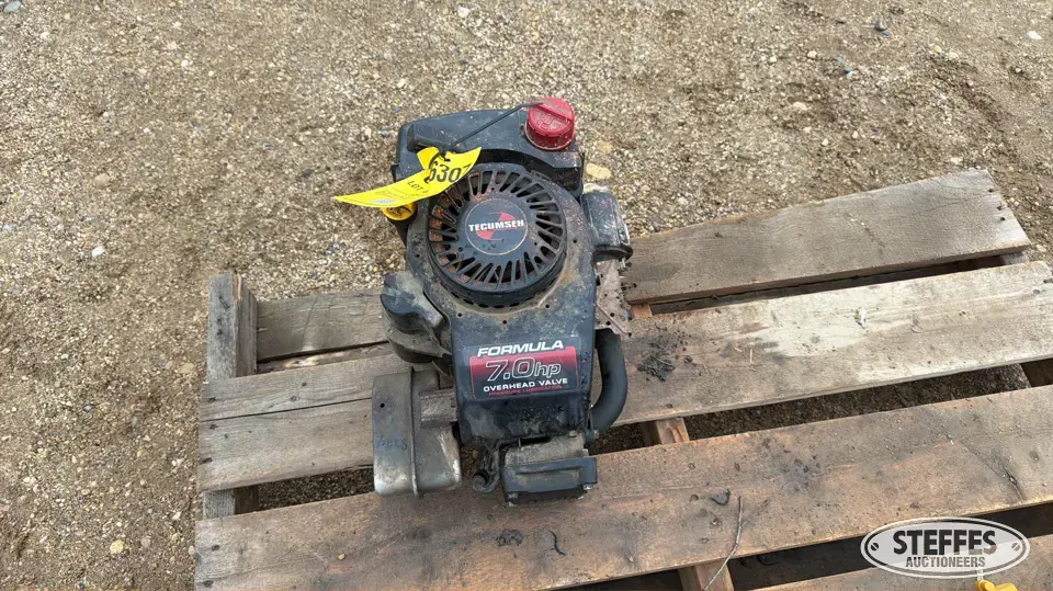 Tecumseh OV195EA Farm Support Item