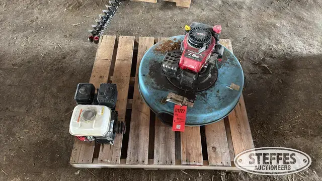 Pump & motor