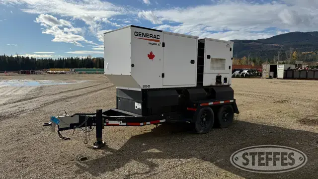 2021 Generac MDG250DF4