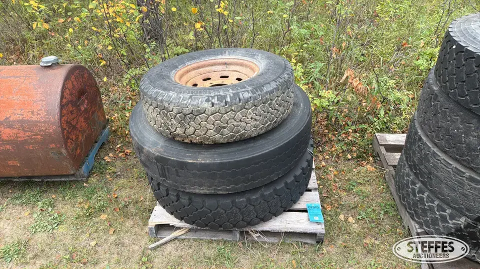 (3) Tires Truck Tire