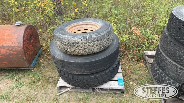 (3) Tires