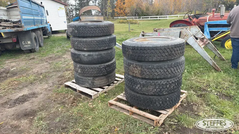 (9) Tires Truck Tire