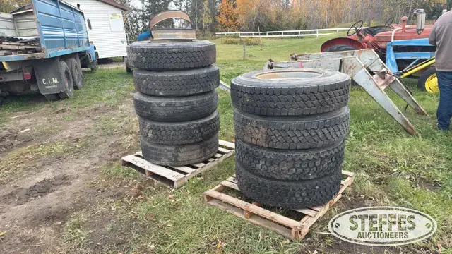 (9) Tires