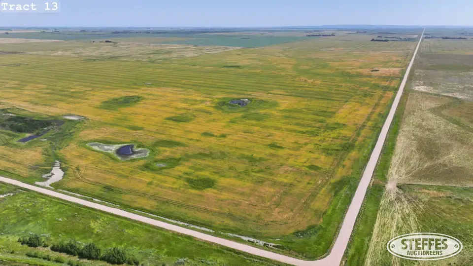 TRACT 13: Farmland