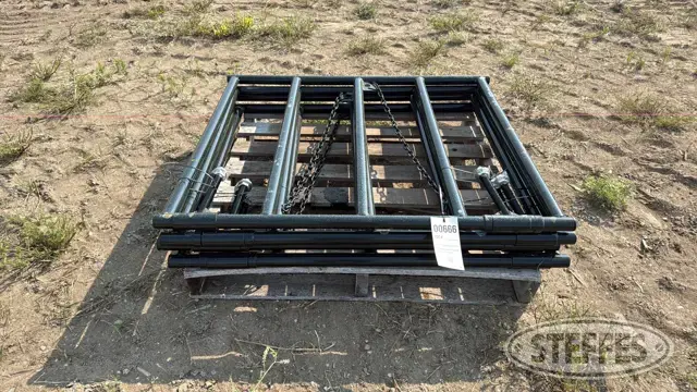 (4) BYT Ranch gates