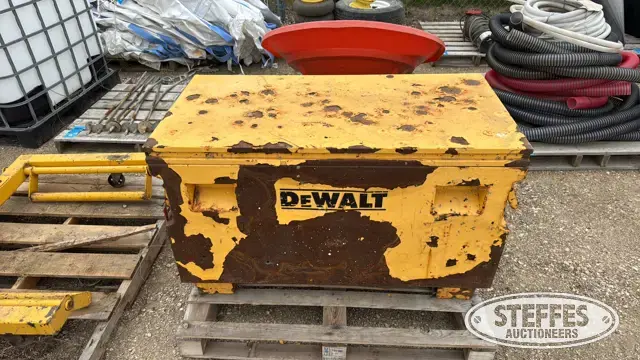 DeWalt job box