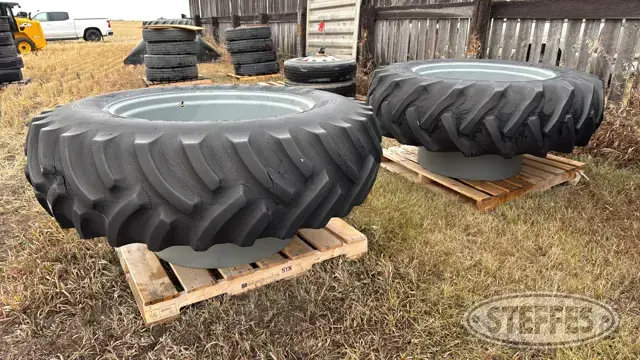 (2) Armstrong 18.4-38 band duals