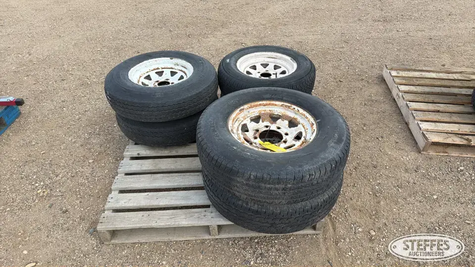 (6) Tires & wheels Passenger-Light Truck Tire