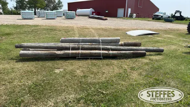 (11) Wood poles