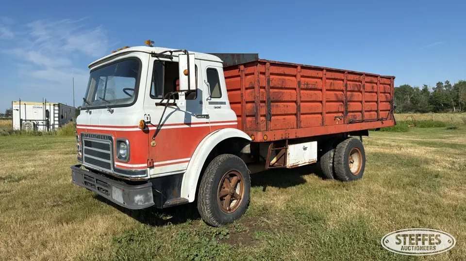 1975 International Cargostar Grain Truck