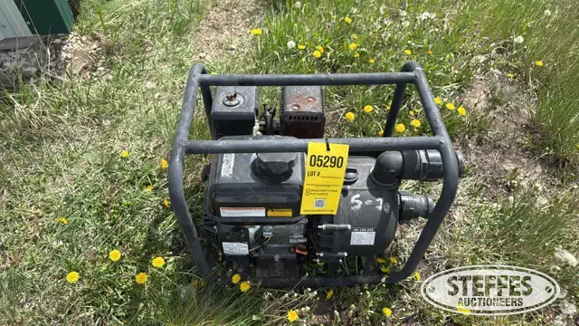 Power Ease chemical transfer pump