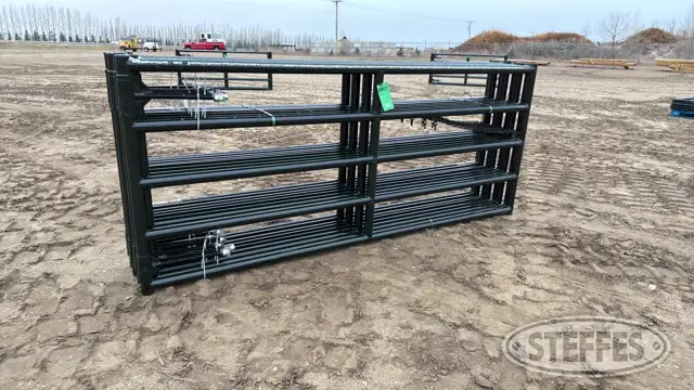 (8) BYT Magnum Ranch gates