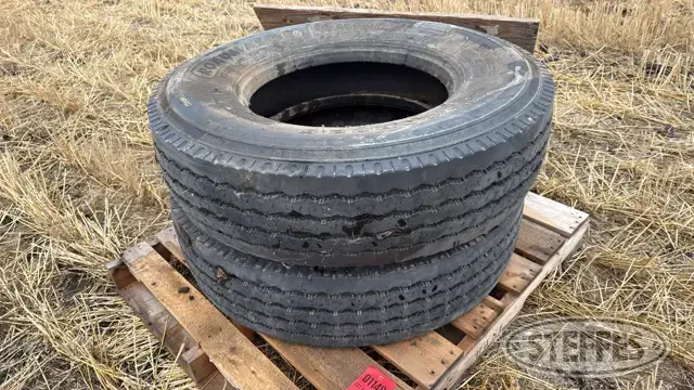 (2) Roadmaster 315/80R22.5 tires