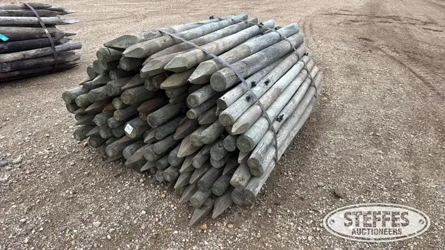 (118) Wood posts