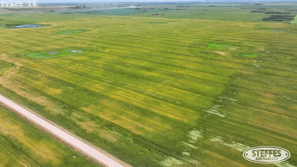 TRACT 16: Farmland