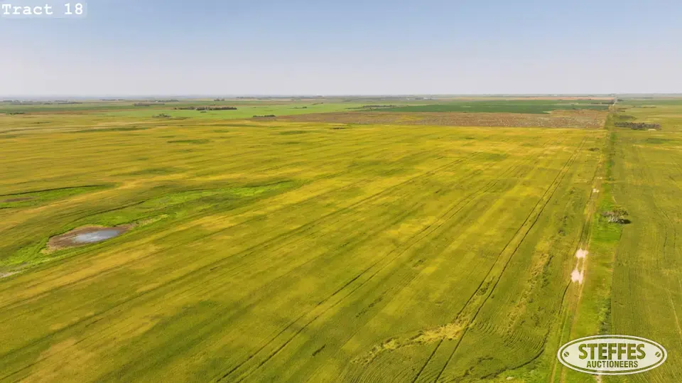 TRACT 18: Farmland