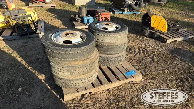(6) Tires