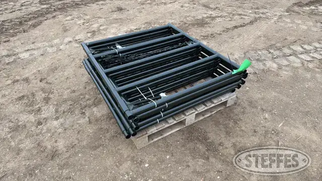 (6) BYT Ranch gates