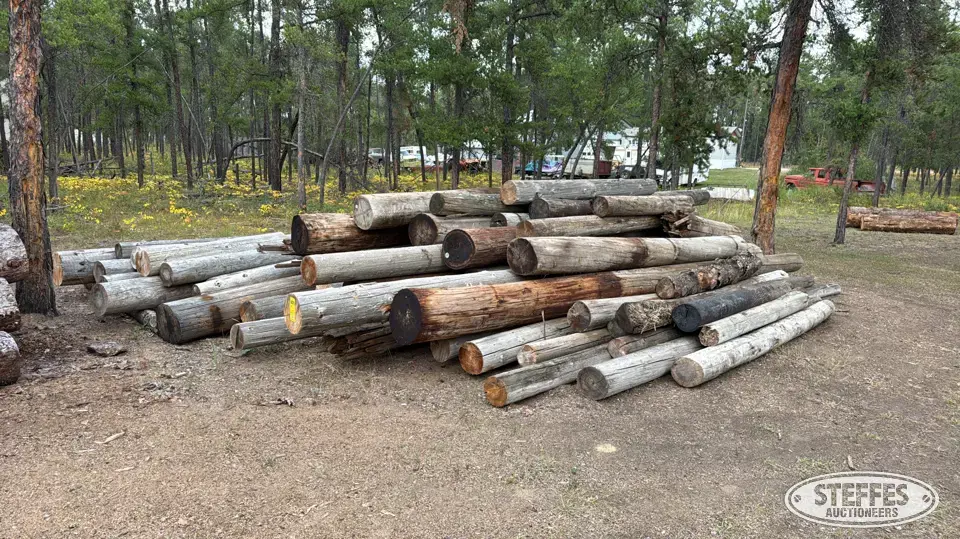 Cedar poles Construction Support Item