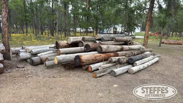 Cedar poles