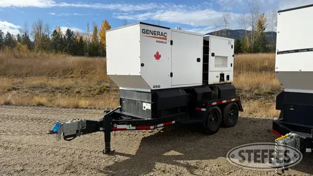 2021 Generac MDG250DF4