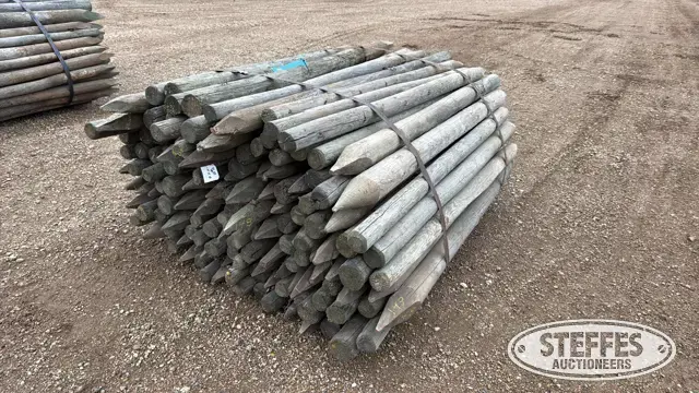 (148) Wood posts