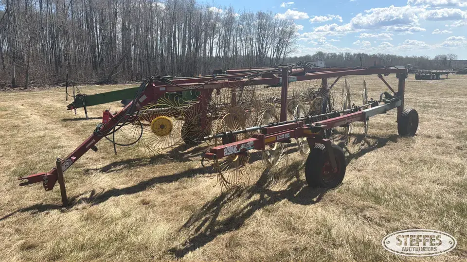 Sitrex Magnum MK10-12 Rake