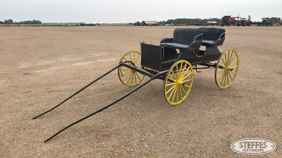 Single horse buggy Horse Drawn