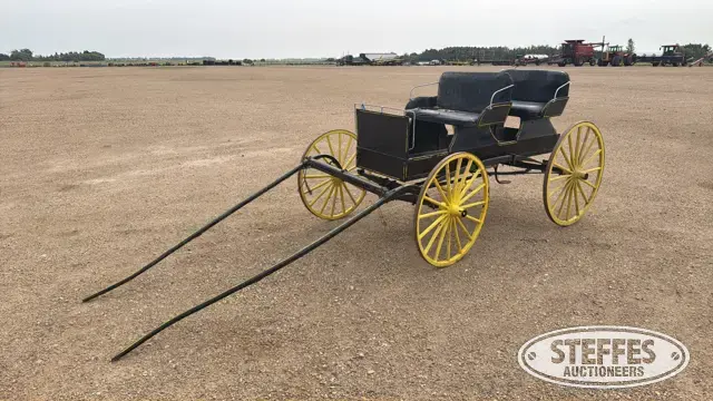Single horse buggy