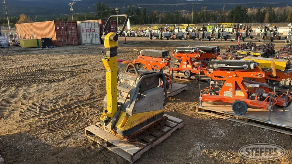 2020 Wacker Neuson DPU6555 Trench Compactor