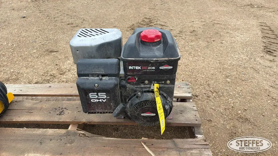 Briggs & Stratton I/C206 Farm Support Item