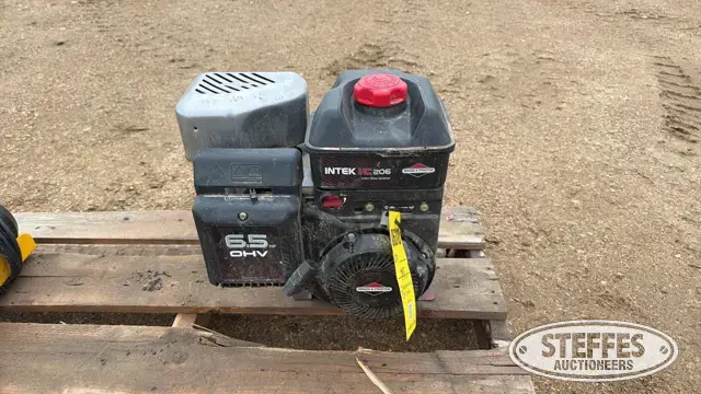 Briggs & Stratton I/C206